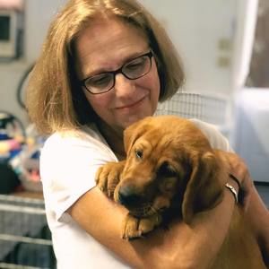 Meet your Posher, Terry